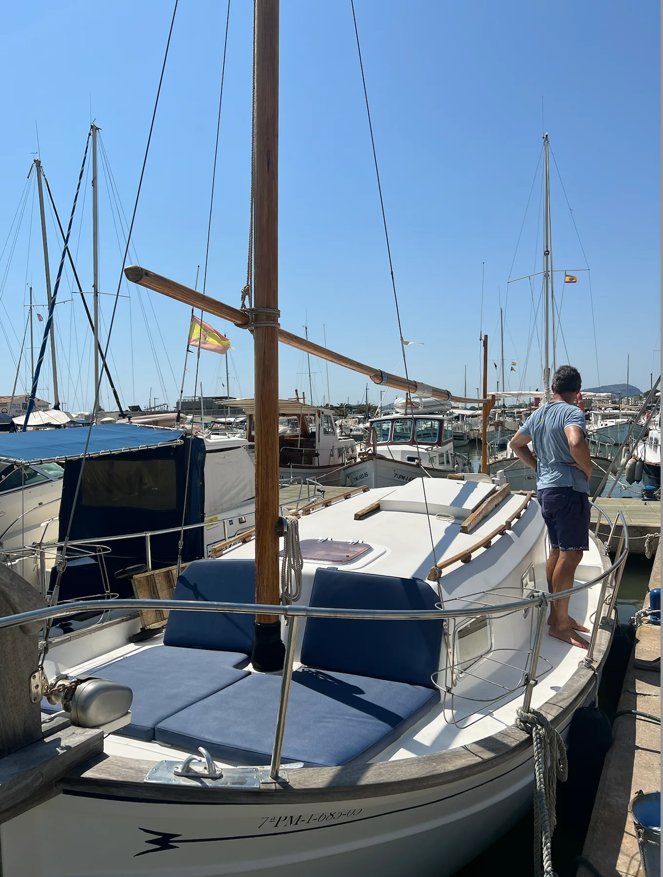 Deck and varnished mast